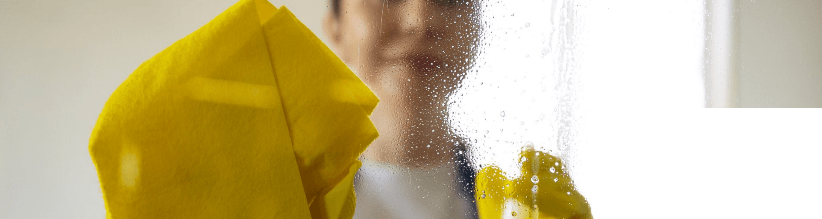 Professional cleaning service