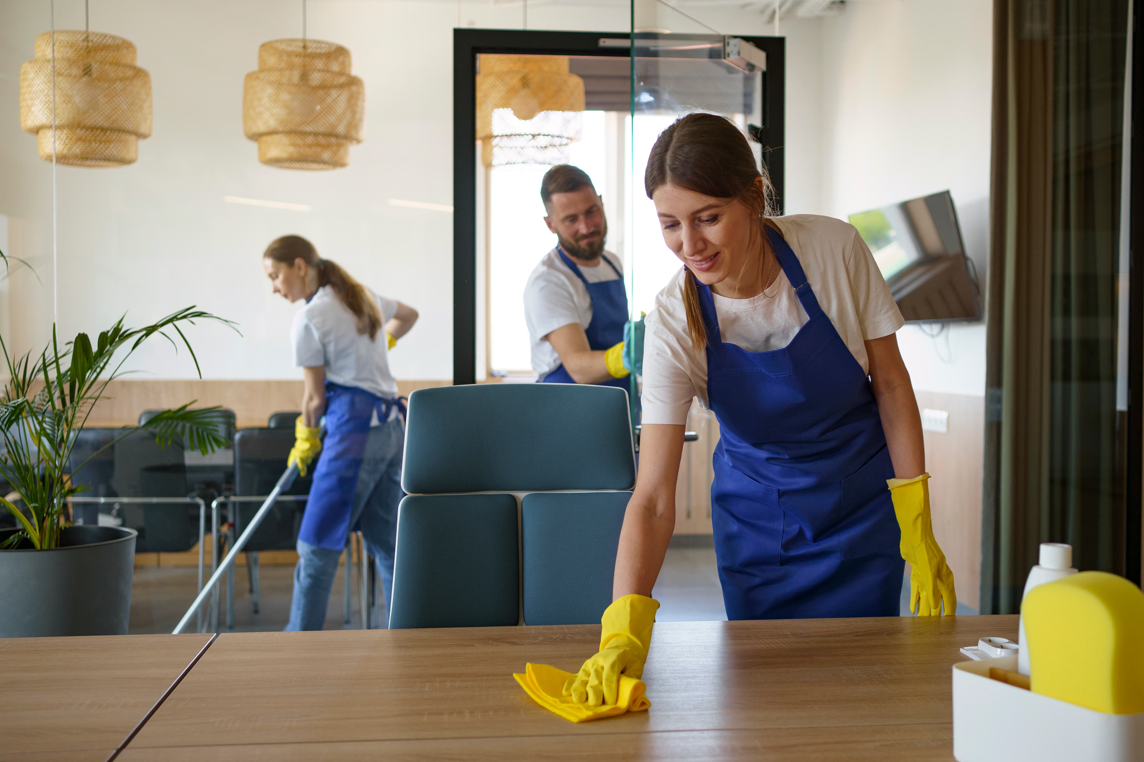 Professional cleaning team